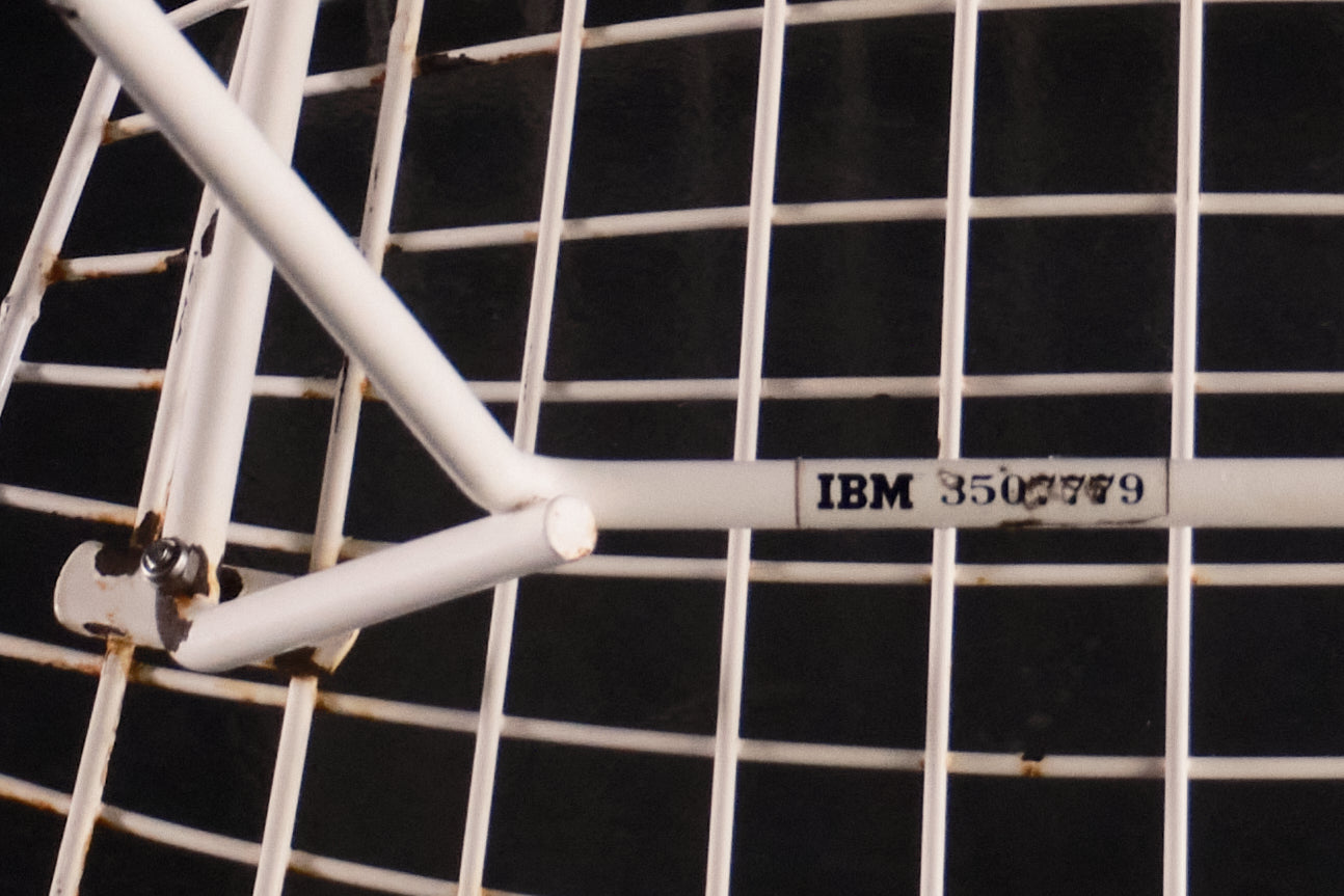Side chair Bertoia - IBM